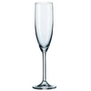 Product Leonardo Champagne Glass Daily With Glass 215ml thumbnail image