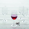 Product Montana Wine Glass First Clear 440ml 6pcs thumbnail image