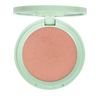 Product Erre Due GreenWise Velvet Blusher Ρουζ με Φυσικά Συστατικά 3g - 601 Barely Nude thumbnail image