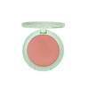 Product Erre Due Greenwise Velvet Blusher 602 Fresh Rose 3g thumbnail image