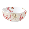 Product Easy Life Reef Μπολ Γλυκού Πορσελάνης 15cm thumbnail image