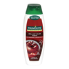 Product Palmolive Naturals Brilliant Color Σαμπουάν 350ml thumbnail image