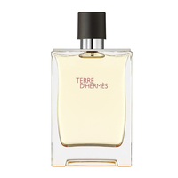 Product Hermès Terre D´Hermès Eau de Toilette 100ml base image