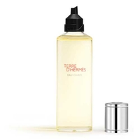 Product Hermès Terre d’Hermès Eau Givrée Eau de Parfum Refill 125 ml base image