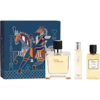 Product Hermes Terre D'Hermes Ανδρικό Άρωμα Σετ Pure Parfum 75ml & 15ml & Shower Gel 40ml base image