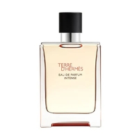 Product Hermes TTerre d'Hermès Eau De Parfum Intense 100ml base image