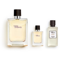 Product Hermes Terre D'Hermès Gift Set Eau De Toilette 100ml And Miniature 5ml And Shower Gel 40ml base image