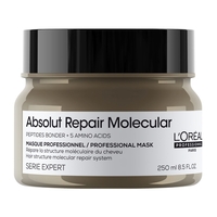 Product L'Oréal Professionnel Serie Expert Absolut Repair Μάσκα Αναδόμησης για Ξηρά και Ταλαιπωρημένα Μαλλιά 250ml base image