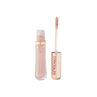 Product Vivienne Sabo Lum.brightening Concealer Aurora | Απόχρωση 02 base image
