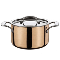 Product Culinox Κατσαρόλα Βαθιά 24cm 6,5Lt Copper Spring base image