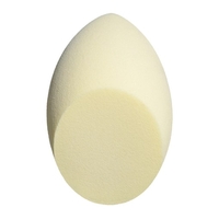 Product Seventeen Multipurpose Blender Sponge base image