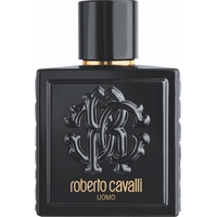 Product Roberto Cavalli Uomo Ανδρικό Άρωμα Eau De Toilette 100ml base image