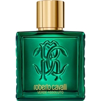 Product Roberto Cavalli Uomo Verde Assoluto Ανδρικό Άρωμα Eau De Parfum 100ml base image