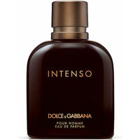 Product Dolce & Gabbana Ανδρικό Άρωμα Pure Homme Intenso Eau De Parfum 125ml base image