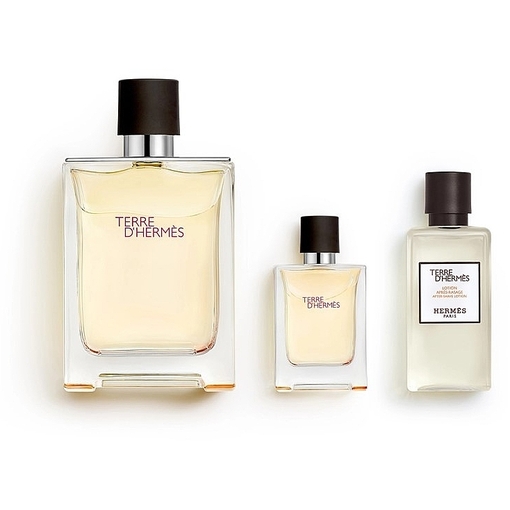 Product Hermès Terre D'hermès Gift Set Eau De Toilette 100ml and Miniature 5ml and Shower Gel 40ml base image