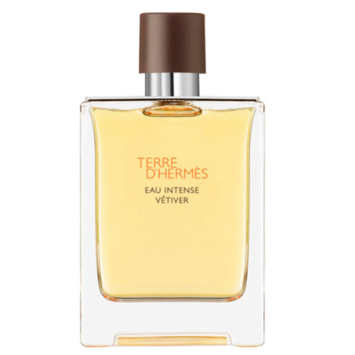 Product Hermès Terre D'Hermès Eau Intense Vetiver Eau de Parfum 100ml base image