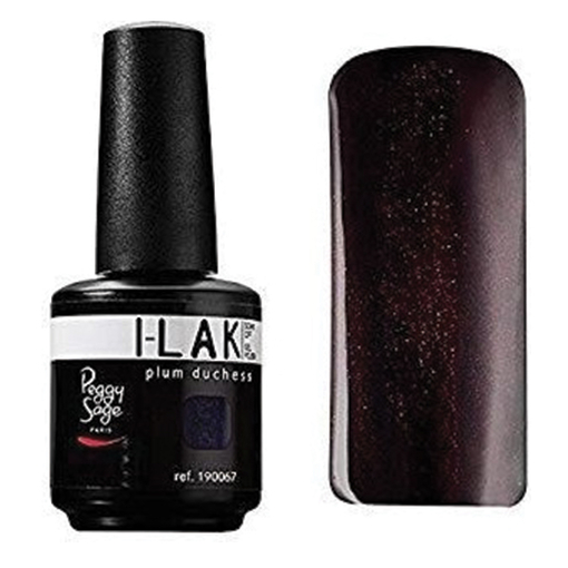 Product Peggy Sage Nails Gel I-Lak 15ml | Απόχρωση Plum Duchesse base image