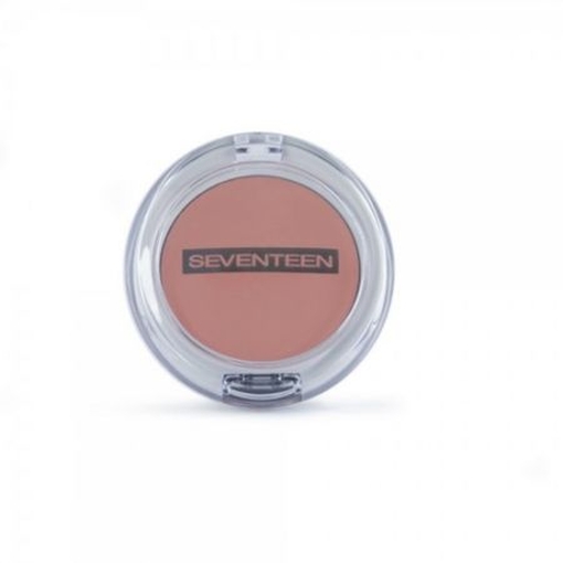Product Seventeen Natural Matte Silky Blusher - 15 Rosy Blush base image
