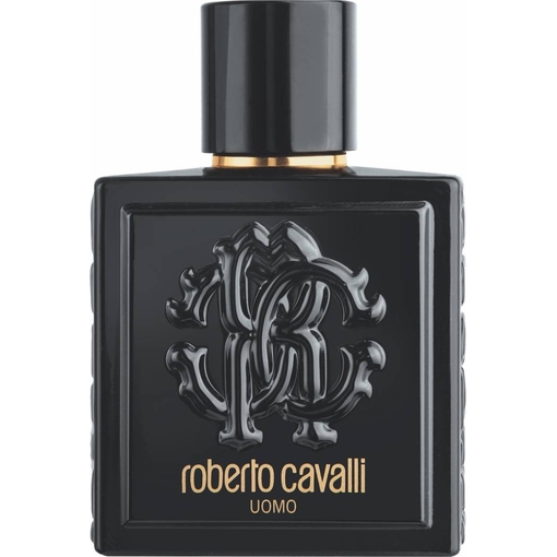 Product Roberto Cavalli Uomo Ανδρικό Άρωμα Eau De Toilette 100ml base image