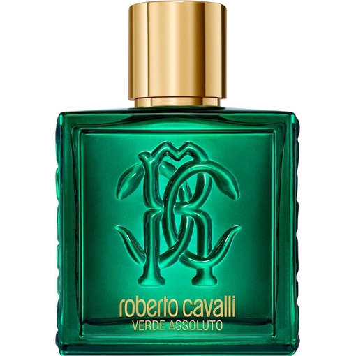 Product Roberto Cavalli Uomo Verde Assoluto Ανδρικό Άρωμα Eau De Parfum 100ml base image